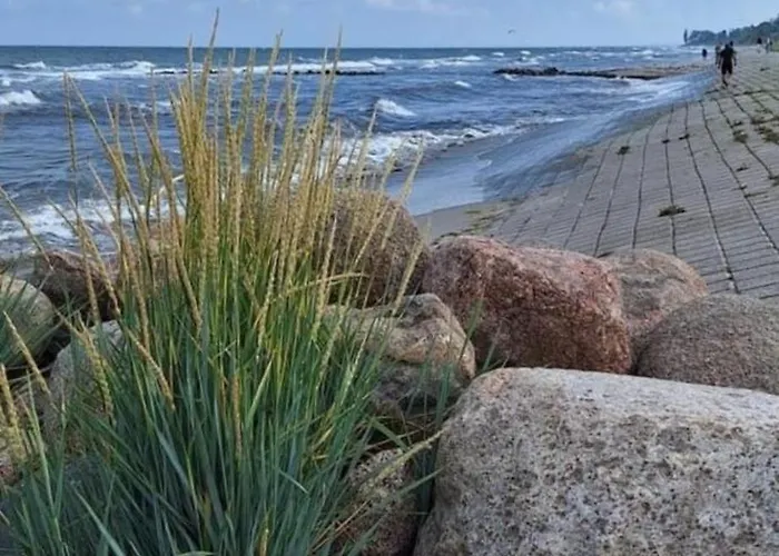 Апартаменты Haus Ostwind - 2 *